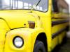 Old Bus in Lessines